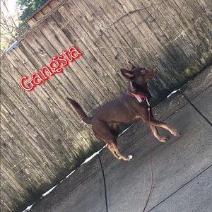 Meet your Posher, Rey